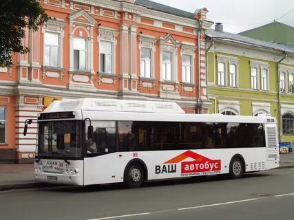 1 автобус вологда