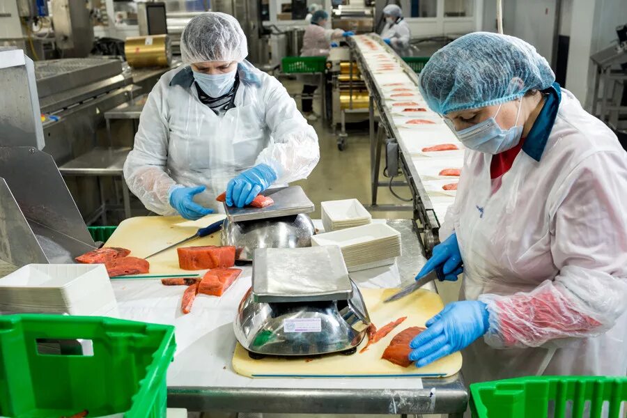 Завод чипсов. В ярославле улица полушкина роща дом 9/17. Упаковщик готовой продукции. Фасовка зубной пасты в ящики. Кизнер кондитерская фабрика.