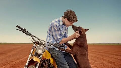True dogs