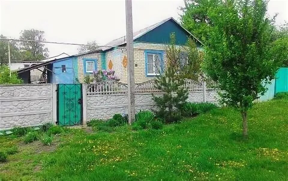 Белгородская область мичурина. Кочетовка 5. Кочетовка тамбовская область. Кочетовка белгородская область дома. Ул солнечная 26 кочетовка.