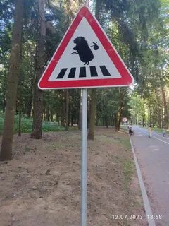 Не ходить не ездить