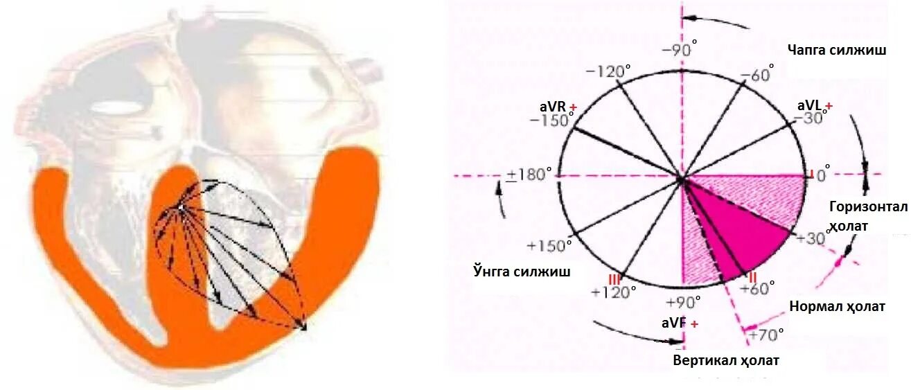 Горизонталы и вертикалы это