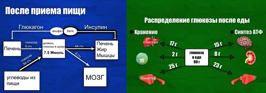 Час после приема глюкозы