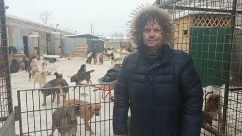 Рязанские собаки