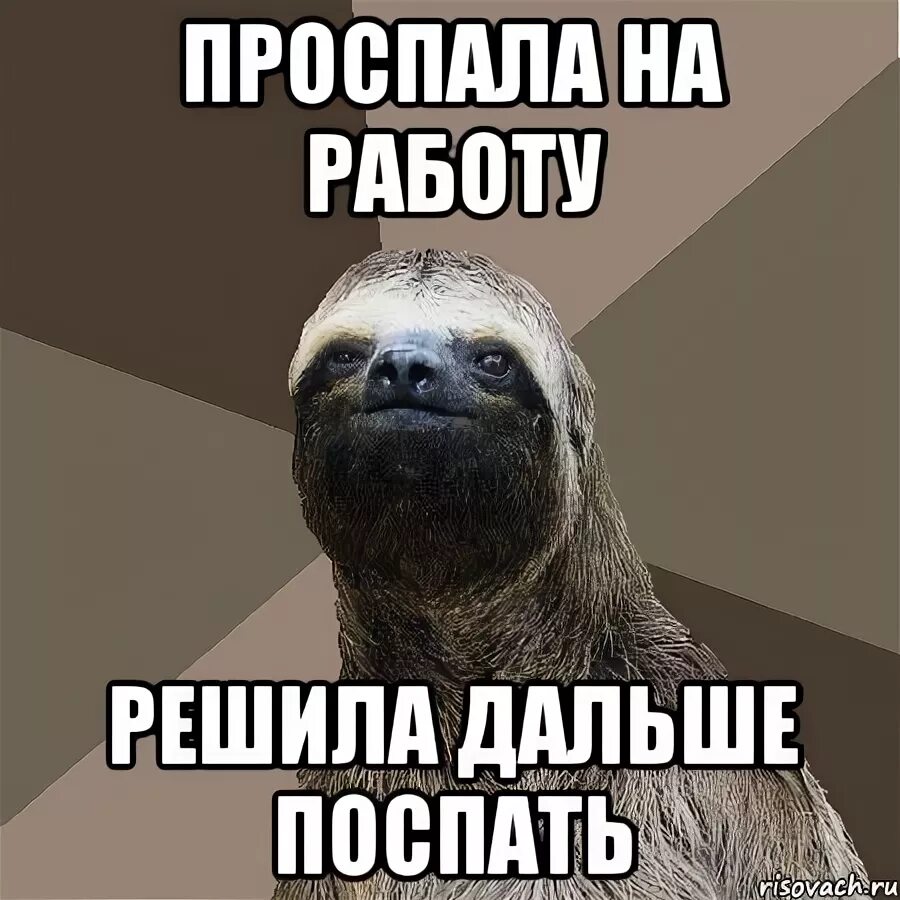 Я проспала на работу. Проспал на работу. Когда проспал на работу картинки. Просрала на работу прикол. Хочу решать дальше