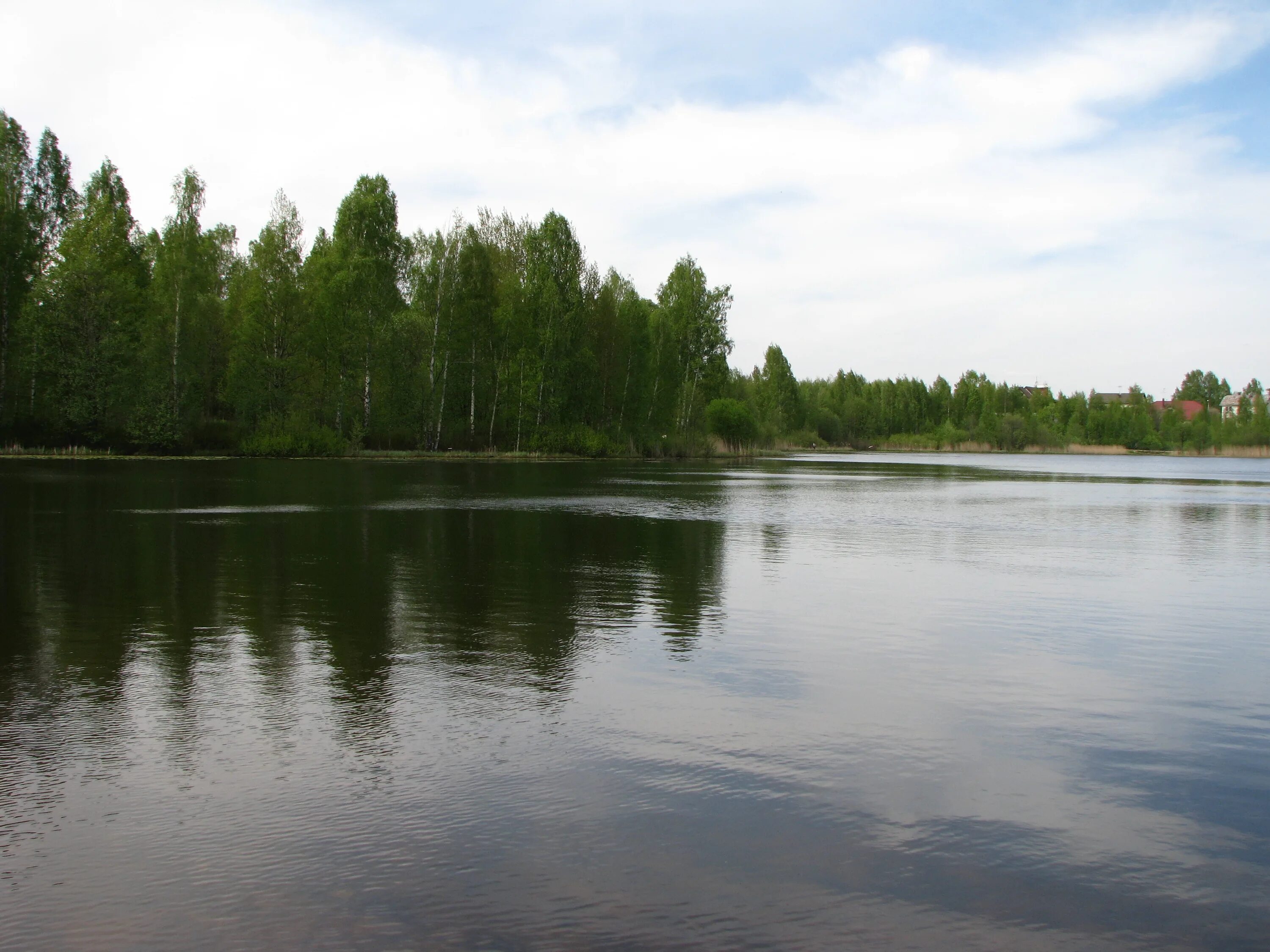 Финское озеро 5. Финское озеро Парголово. Чухонское озеро Парголово. Финское озеро Парголово рыбалка. Финское озеро Парголово фото.