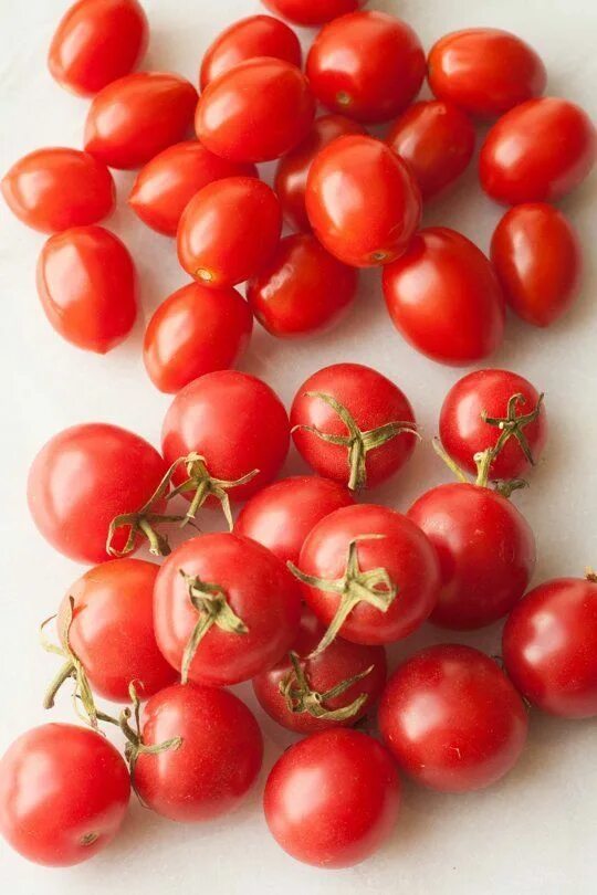 Tomato v