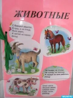 Книга о животных 3 класс окружающий мир