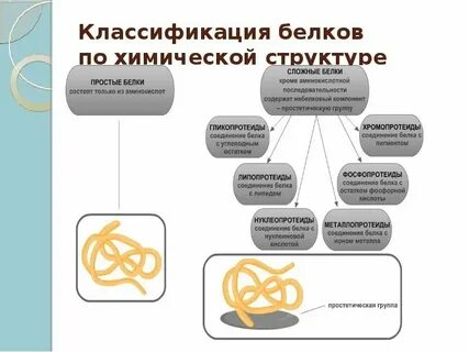 Белка по составу 4 класс
