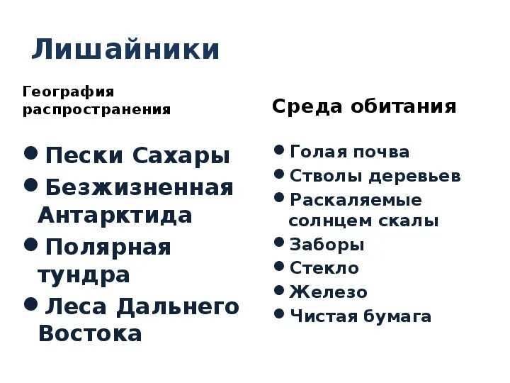 Среда обитания лишайников. Лишайники приспособленность к среде обитания. Приспособленность лишайников к среде обитания. Среда обитания лишайников 5 класс.