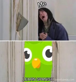 Дуолинго мем