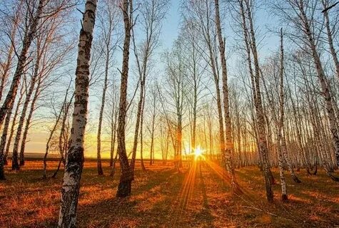 Весной солнце ярче