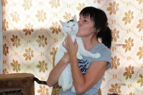 Кошки череповец