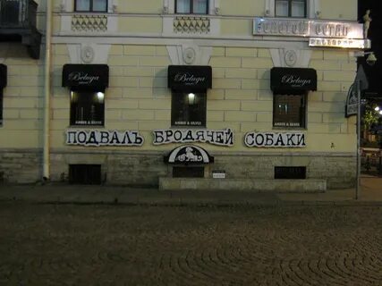 Петербург бродячая собака афиша