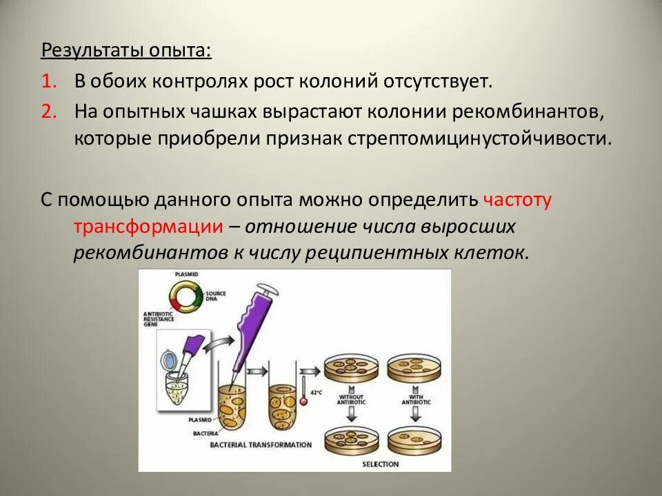 Опыт по трансформации бактерий. Трансформация микробиология. Опыт трансформации. Опыт по трансформации микробиология. Результаты эксперимента пройти