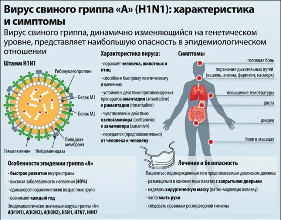 Вирус гриппа h1n1. Вирус свиного гриппа (h1n1). Особенности мвиного группа. Вирус гриппа симптомы. Сколько лечится инфекция