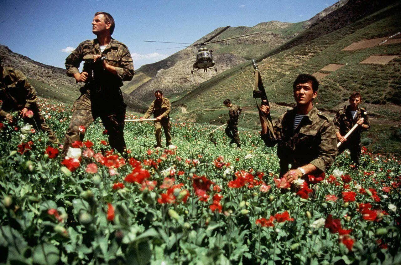 Афгана мама слушать