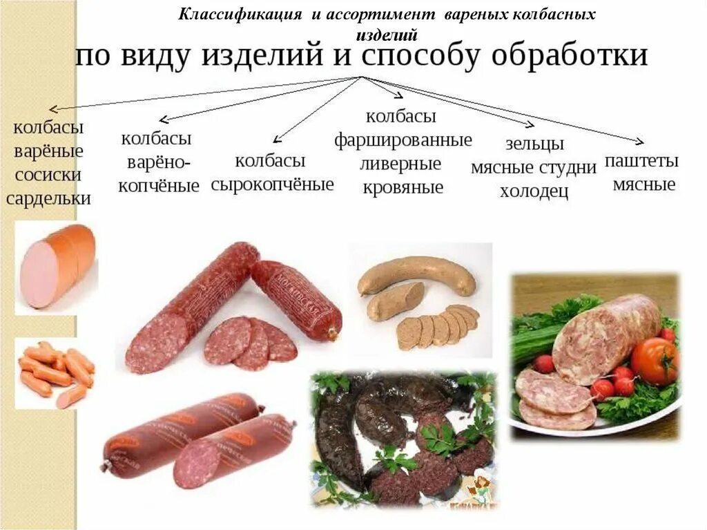 Классификация вареных колбасных изделий. Мясные и колбасные изделия классификация. Классификация и ассортимент колбасных изделий. Ассортимент мясных изделий.