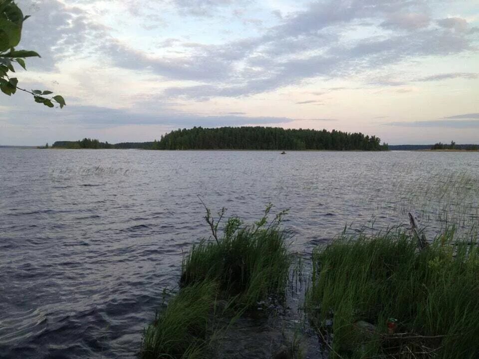 Озеро глубокое Ленинградская область. Оз глубокое Выборгский район. Озеро глубокое Ленинградская область Выборгский. Озеро глубокое Выборгский район золотой пляж.