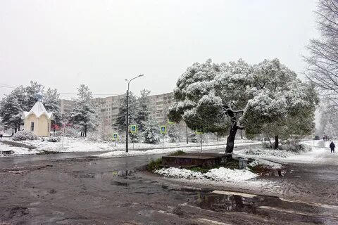 Сегежа слушает