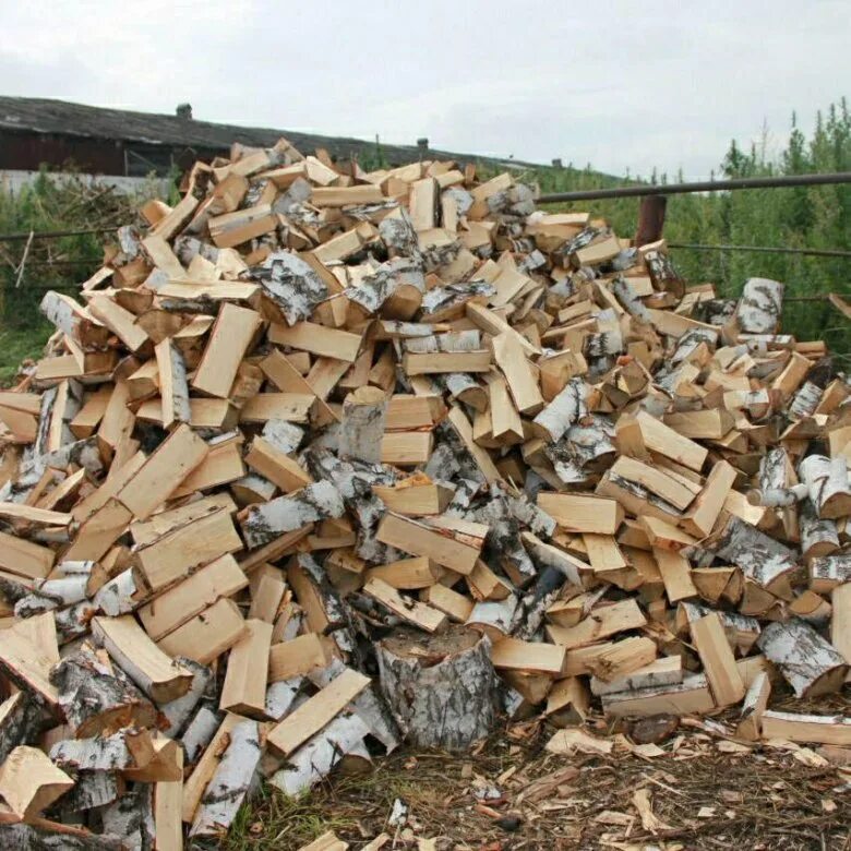 Дрова колотые цена за куб. Дрова колотые. Дрова колотые различных пород. Заготовка березовых дров. Латвия дрова.