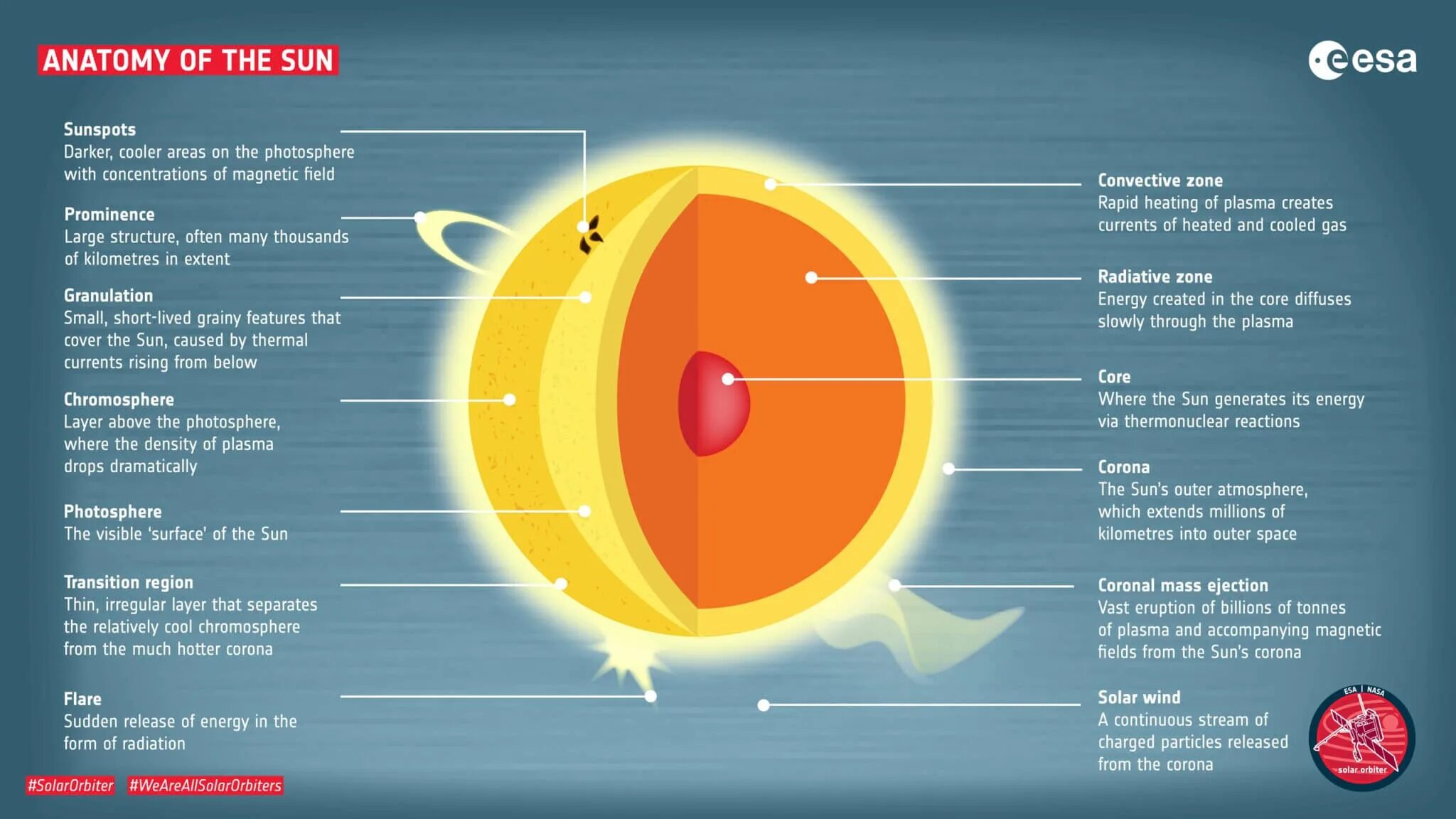 Строение солнца. Строение солнца инфографика. Солнце инфографика. Внутреннее строение солнца.