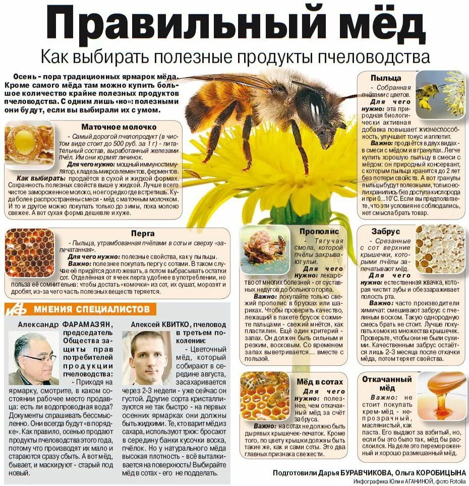 Мед теряет свойства при температуре. Полезные продукты пчеловодства. Пчелы продукты пчеловодства. Польза продуктов пчеловодства. Мед и продукция пчеловодства.