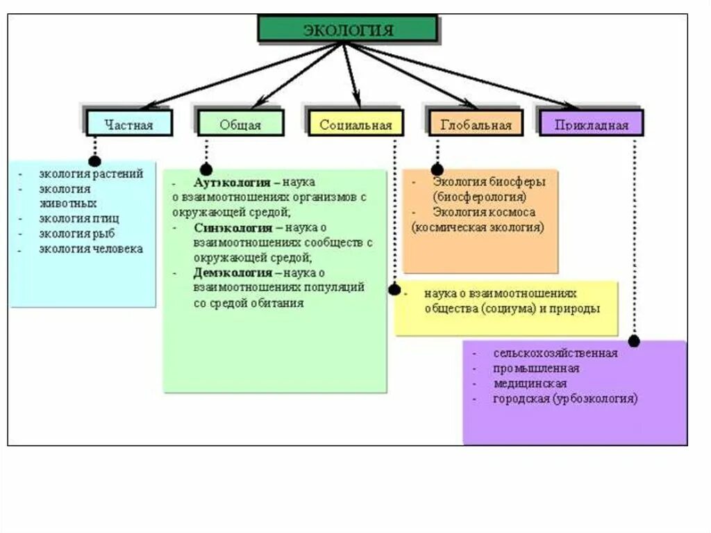 Составьте схему структура современной экологии. Структуры состава экологии. Структура содержания современной экологии схема. Основные структурные разделы экологии.