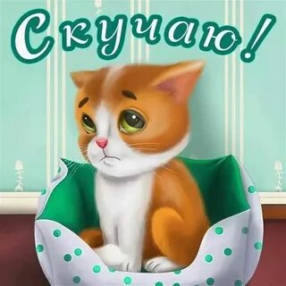 Прикольные скучаю любимой