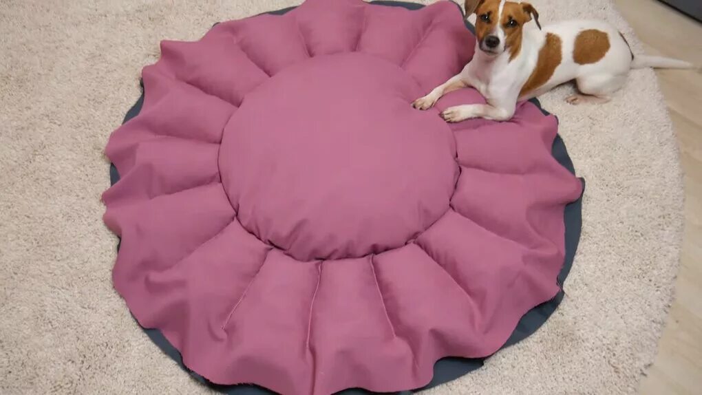 Потрясающая лежанка трансформер для собак. Сшить лежанку для собаки пошагово. Сшить лежанку для собаки пошагово. Сшить лежанку для собаки пошагово. Лежанка для кошки.