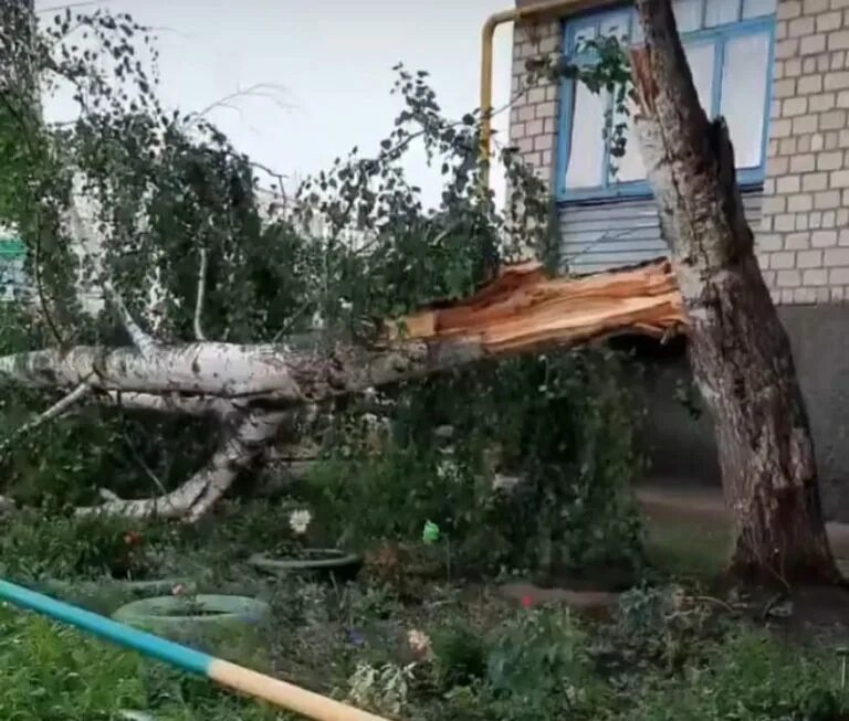 Ураган Йошкар Ола. Повалены деревья повреждена кровля домов. Ураган в Оренбурге. Смерч в Бугуруслане.
