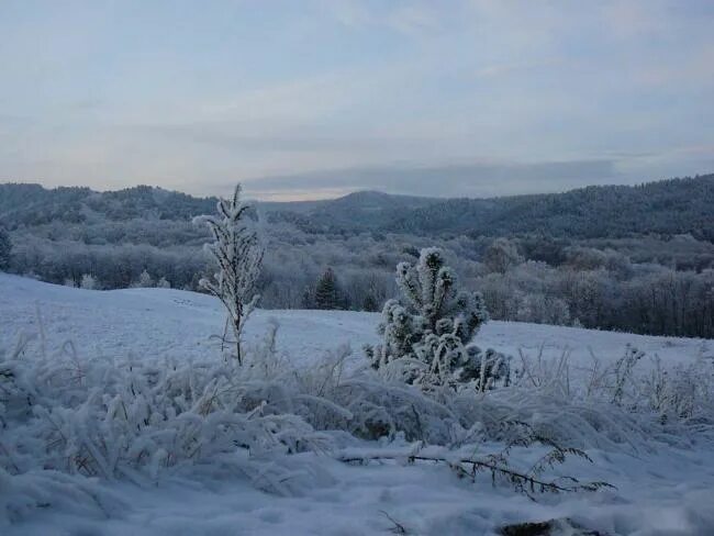 ульянино хвалынский район. сосновая маза хвалынского. школа сосновая маза хвалынского района. село сосновая маза хвалынского района саратовской области. сосновая маза хвалынский район саратовская область.