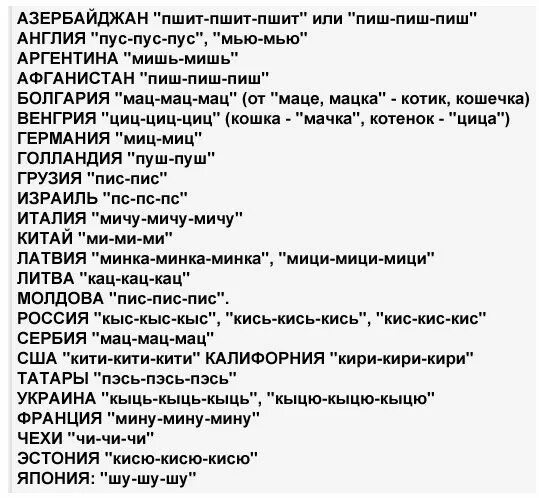 Как будет на разных. Как подзывают кошек в разных странах. как подзывают кошек на разных языках. позвать кота на разных языках.