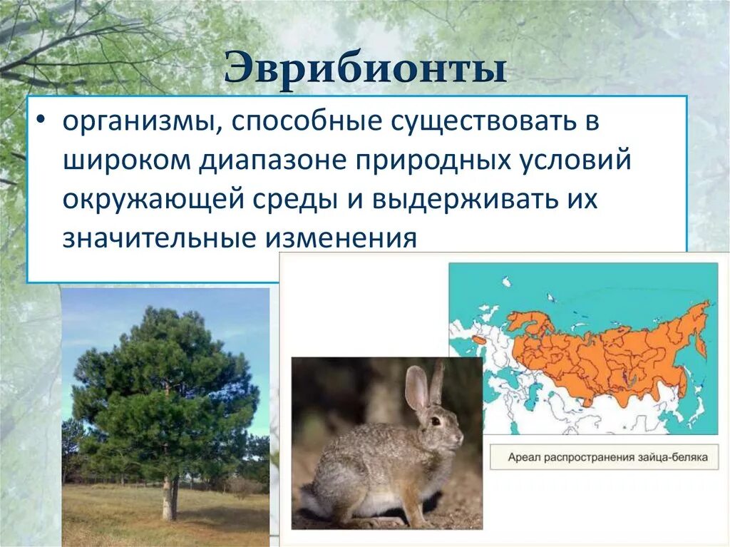 Значительные изменения организмами