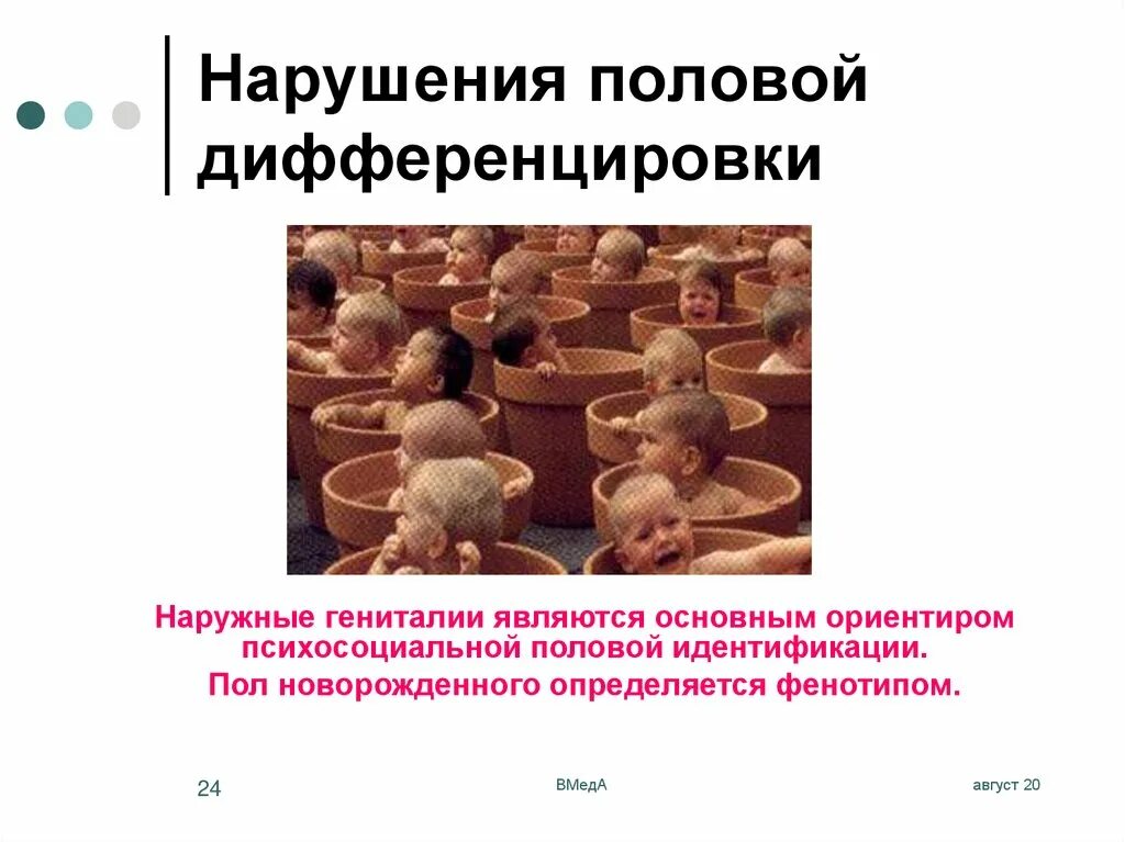 Нарушения развития органов и тканей. Нарушения развития органов и тканей
