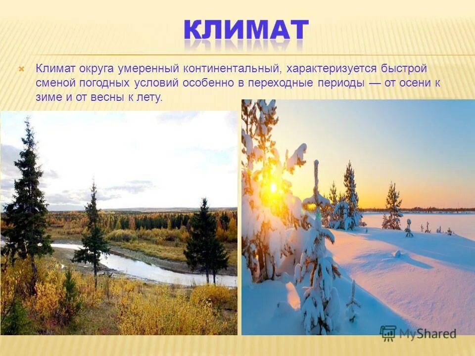 Умеренный резко континентальный климат. Умеренно-континентальный климат характеристика. Умеренно-континентальный климат характеристика. Амплитуда умеренно континентального климата. Какая зима в умеренно континентальном климате.