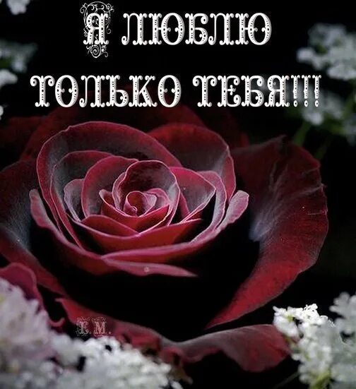 Обожает единственную