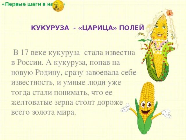 Какая царица полей. Кукуруза царица полей. стихи про кукурузу царицу полей. кукуруза доклад. статью про кукурузу.