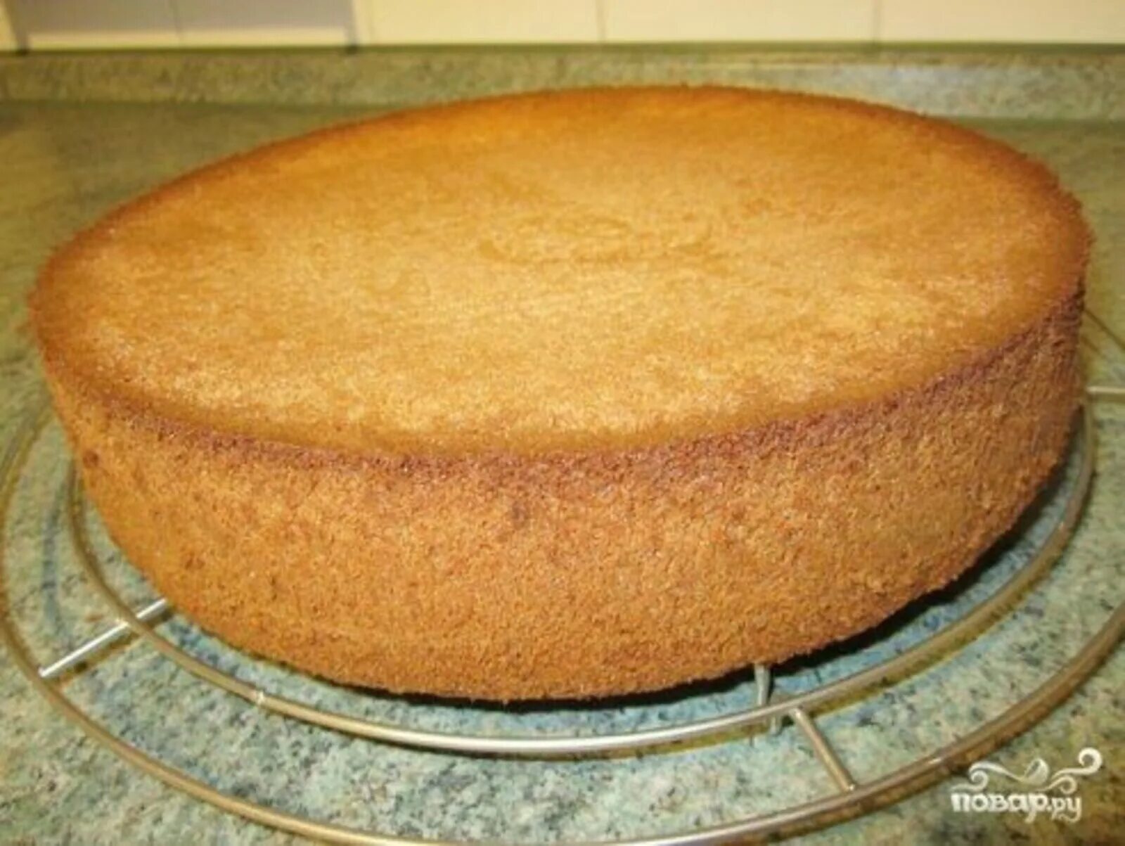 Коржи для торта медовик. Коржи для торта рецепт в духовке. Коржи для тортов рецепт пошагово. Коржи для торта бисквитные. Простой бисквит для торта в духовке рецепт.