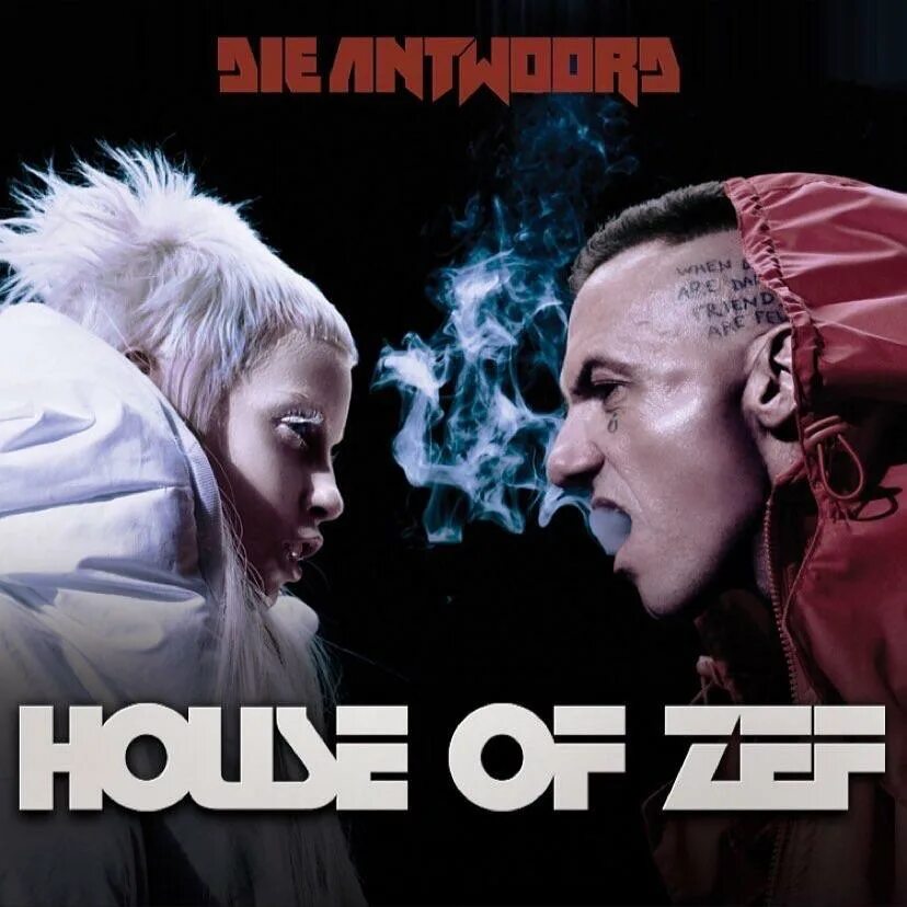 Die antwoord brain. Группа die antwoord. Группа die!.