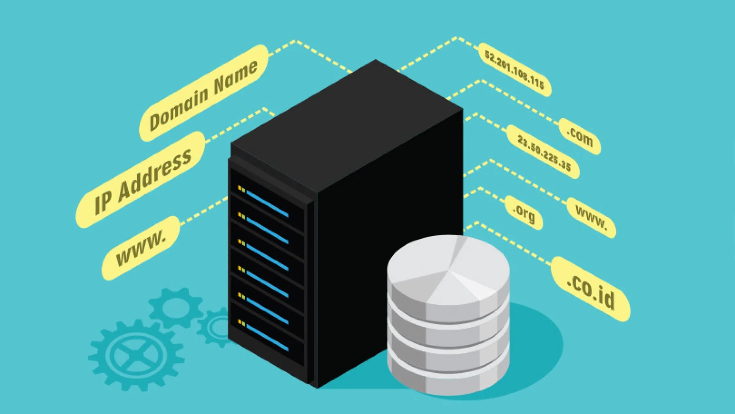 Dns domain name. Dns-сервер. domain name system.