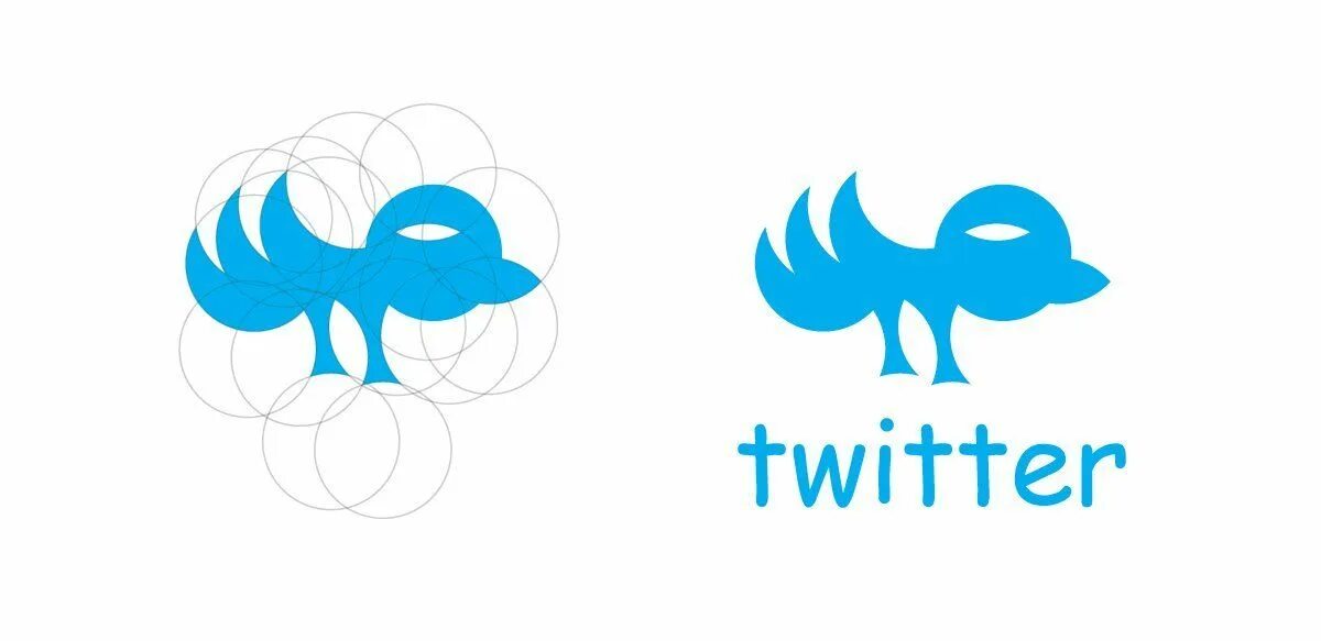 Dingotoad twitter