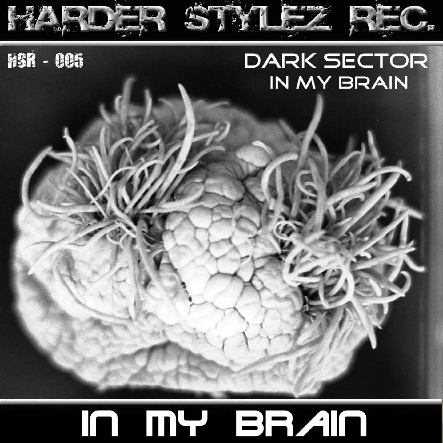 Insane in the brain cypress. Brain Dark. Insane in the Brain. My Brain.