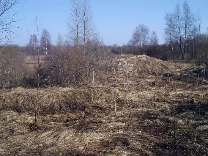 Погода в решетниково ленинградская. Решетниково ленинградская область завод. Погода в решетниково ленинградская. Погода в решетниково ленинградская. Поселок решетниково.