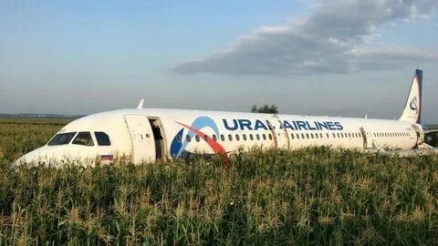 Самолет который сел на кукурузное поле