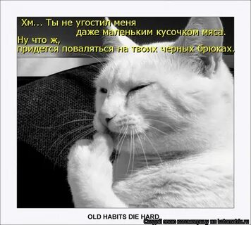 Забудь про вчера