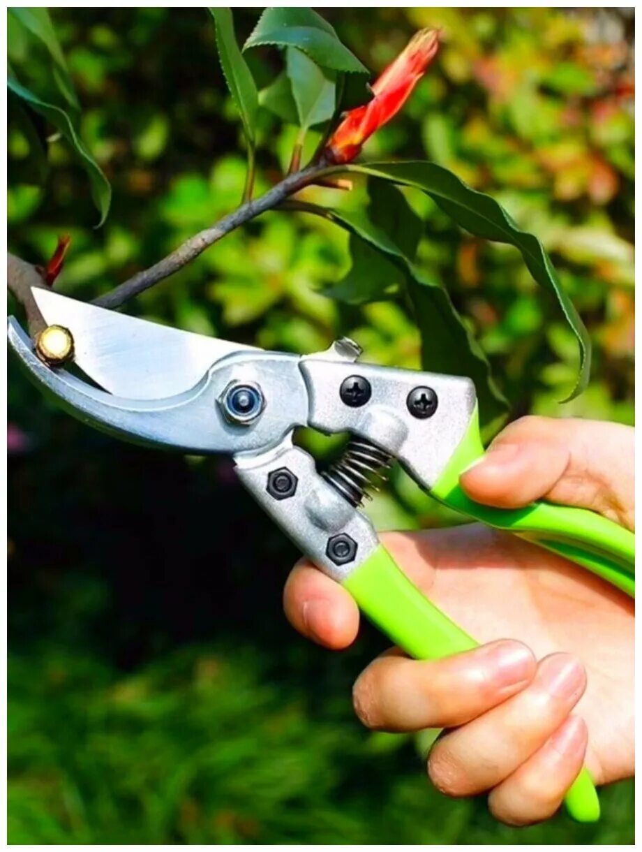 Секатор pruning Shears. Секатор Садовая ножница. Секатор кустарниковый 535мм RUSСАД. Ножницы садовые pruning Shear.