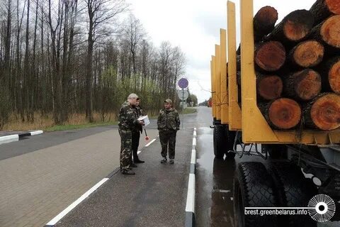 Инспекция животного и растительного