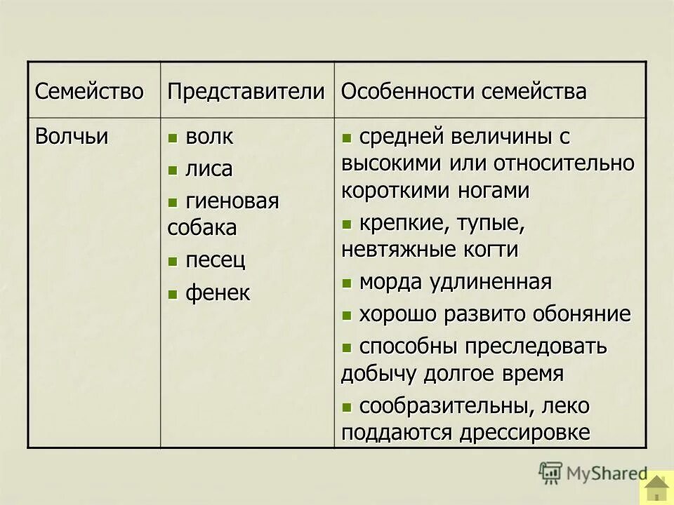 таблица по биологии 7 класс отряды млекопитающих. отряды млекопитающих отряды хищники. таблица по биологии отряды плацентарных млекопитающих. характеристика основных семейств отряда хищные таблица. отряд млекопитающих общая характеристика.