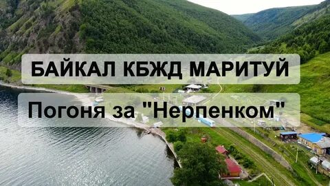 Расписание нерпочки